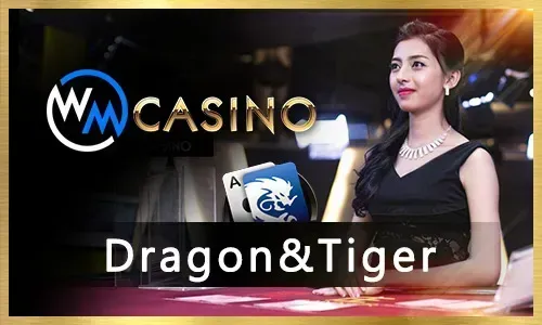 NN777 Sports Betting